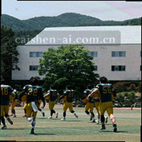 信封与灯笼结合的联系客服图标